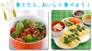育てたら美味しく食べよう