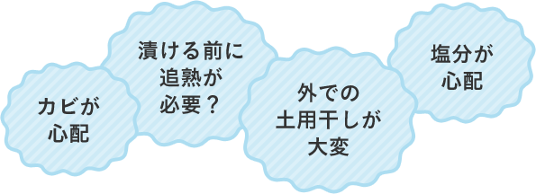 カビが心配 漬ける前に追熟が必要？ 外での土用干しが大変 塩分が心配