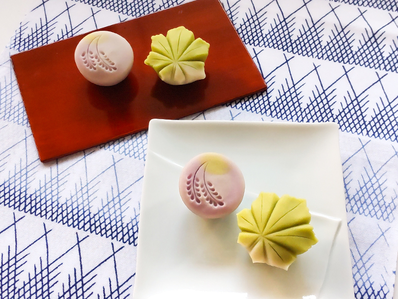 季節の彩 ねりきりワークショップ 【5月】新緑の香り～二季草・青楓～